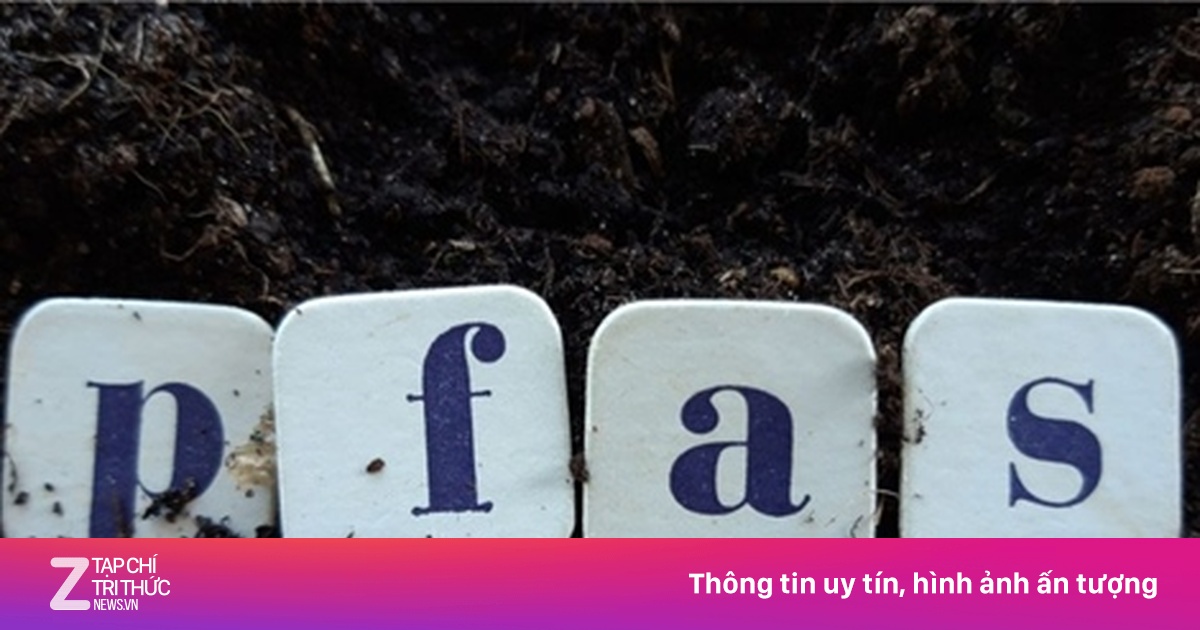 Nguy cơ ô nhiễm 'hóa chất vĩnh cửu' tại Nhật Bản