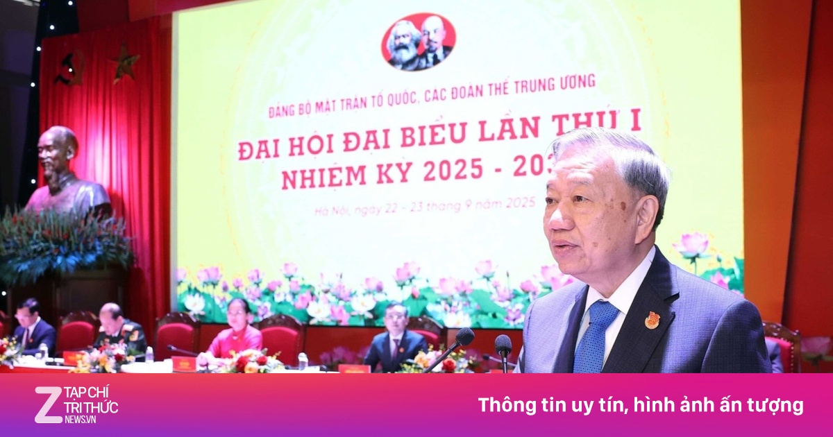 znews.vn