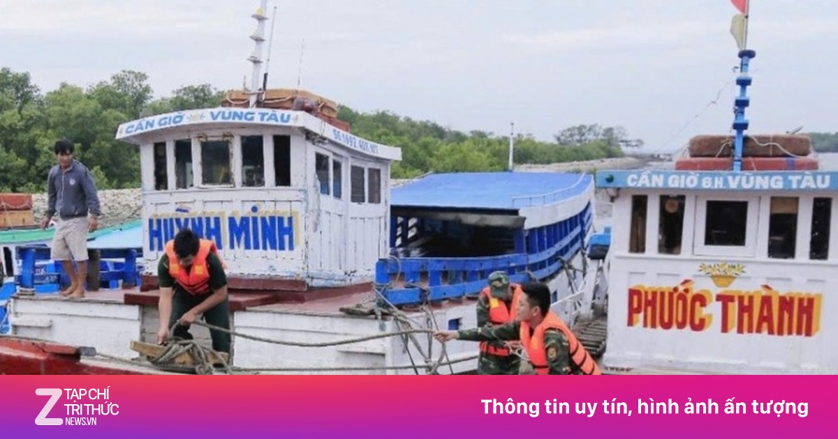 Bão Bualoi tiến vào Biển Đông, TP.HCM đảm bảo an toàn cho 1.600 tàu cá