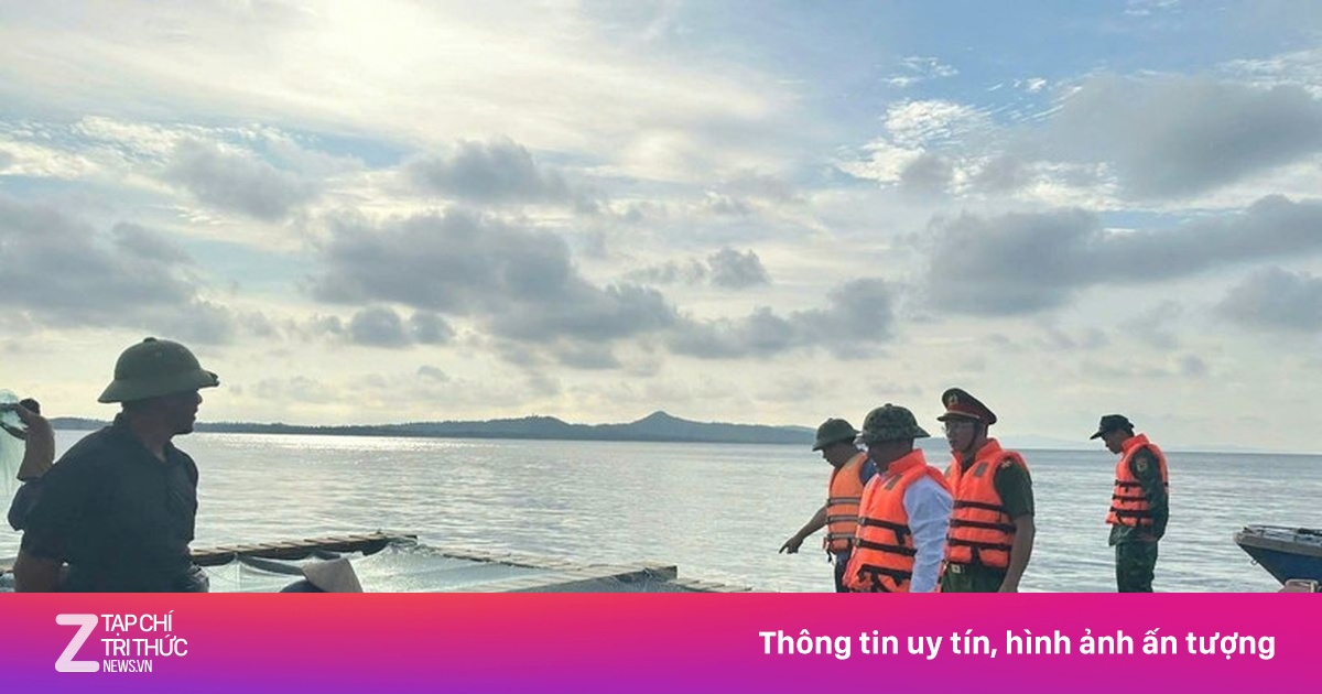 Từ Quảng Ninh đến Lâm Đồng chủ động ứng phó bão số 12 Fengshen