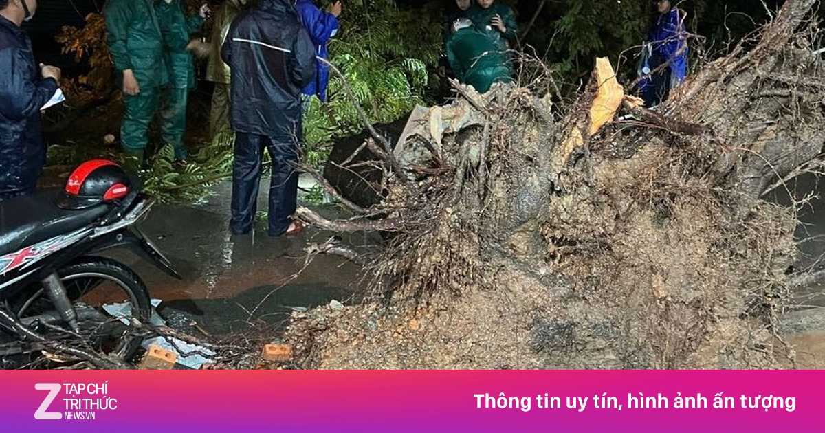 Cây xanh bật gốc đè trúng hai bà cháu ở TP.HCM