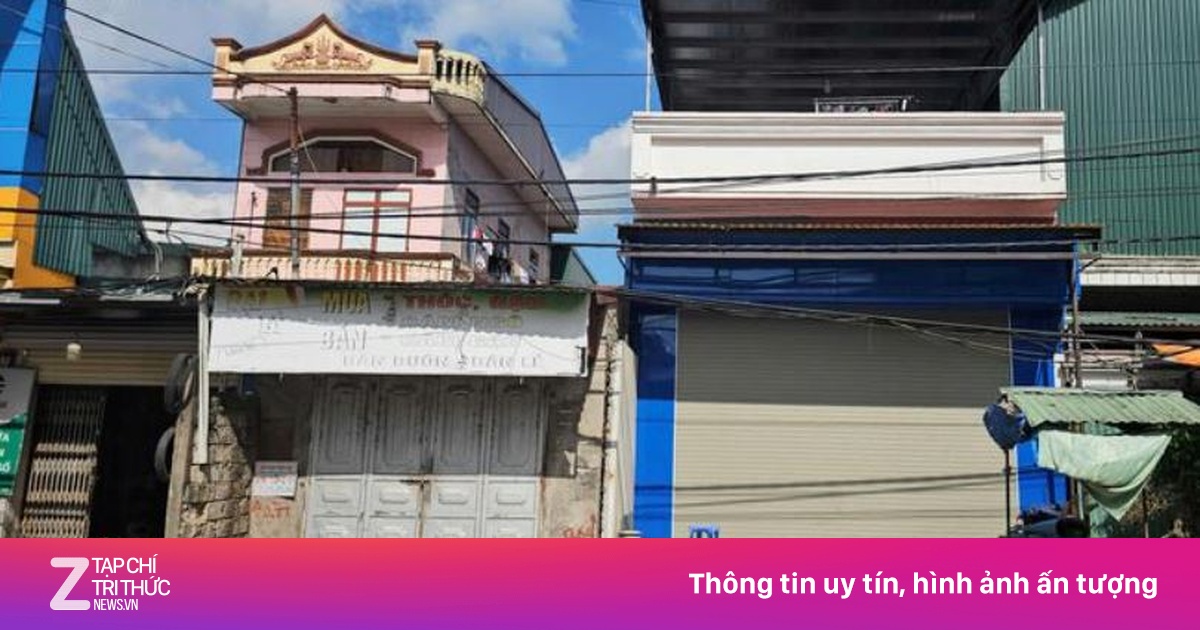 znews.vn