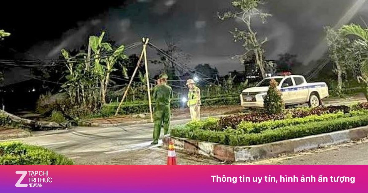 znews.vn