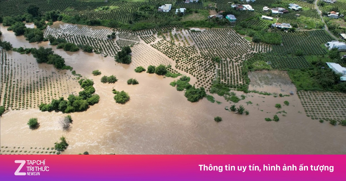 Một người ở Đắk Lắk bị sét đánh tử vong khi cho tôm hùm ăn