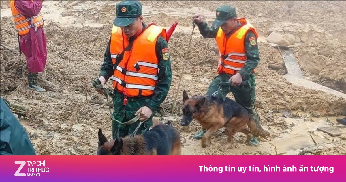 Đưa cảnh khuyển tìm người mất tích trong vụ sạt lở ở Đà Nẵng