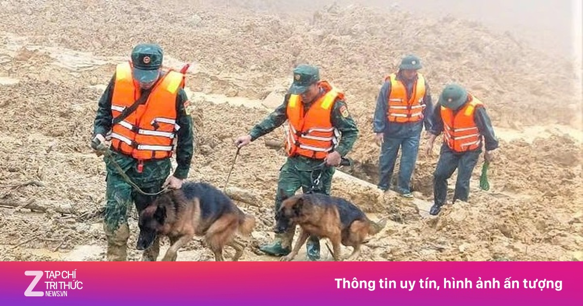 Tạm dừng tìm kiếm 3 nạn nhân mất tích trong vụ sạt lở núi ở Đà Nẵng