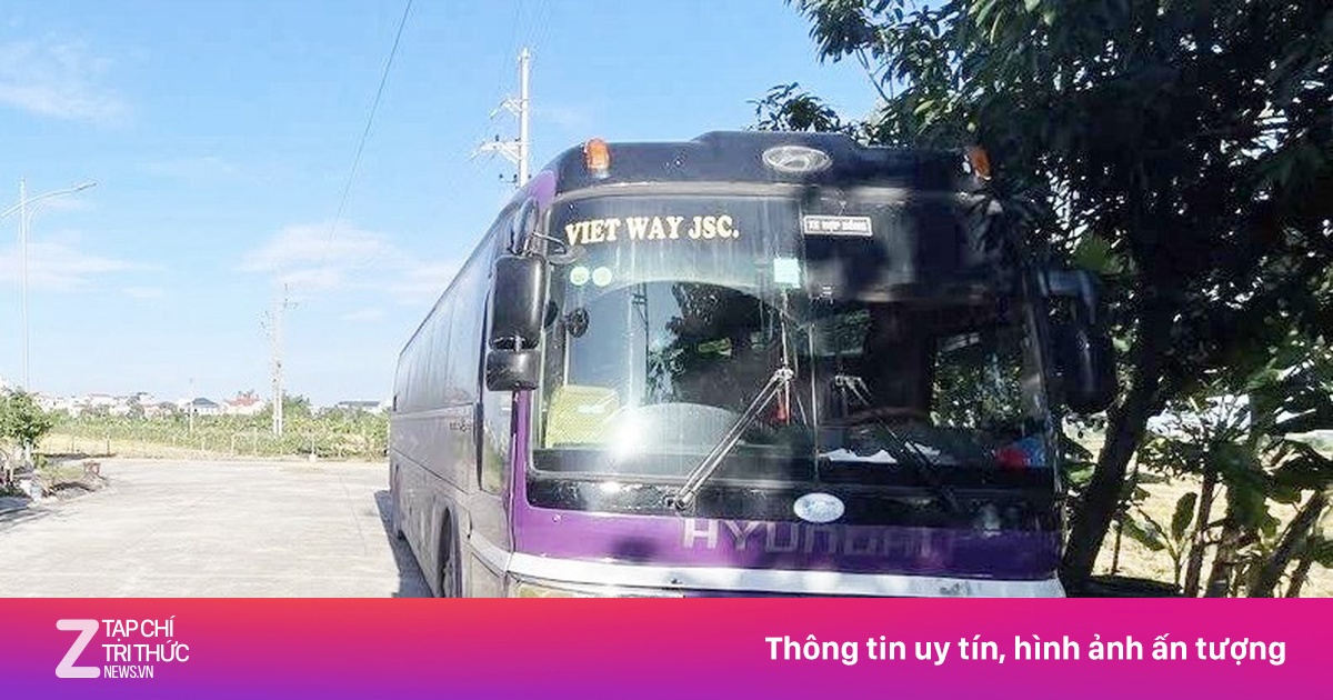 Camera 'bóc trần' vi phạm, chủ và lái xe bị phạt 65 triệu đồng