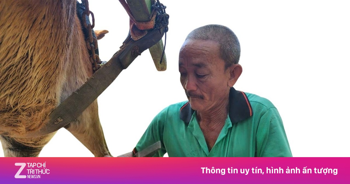 Nghệ Nhân Đóng Móng Ngựa Cù Lao Thới Sơn: Giữ Lửa Nghề Gia Truyền Giữa Dòng Sông Tiền