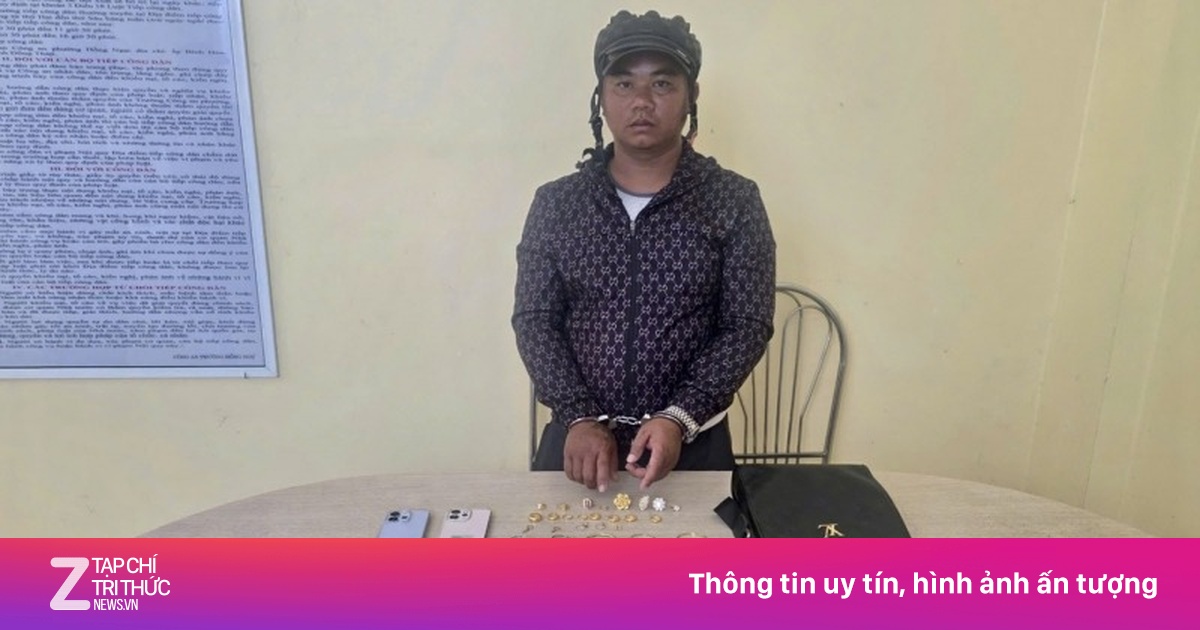 Tây Ninh: Bắt kẻ trộm đột nhập nhà dân, phá két sắt chiếm đoạt hơn 1 tỷ đồng