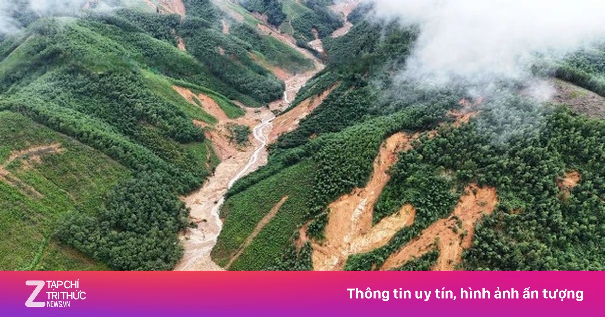 Bạch Mã mưa gần 500 mm chỉ trong một đêm