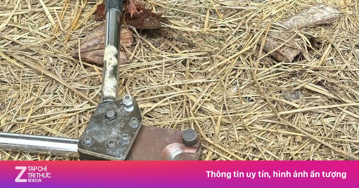 Người đàn ông Đồng Nai tử vong do điện giật khi dùng sào sắt tự chế