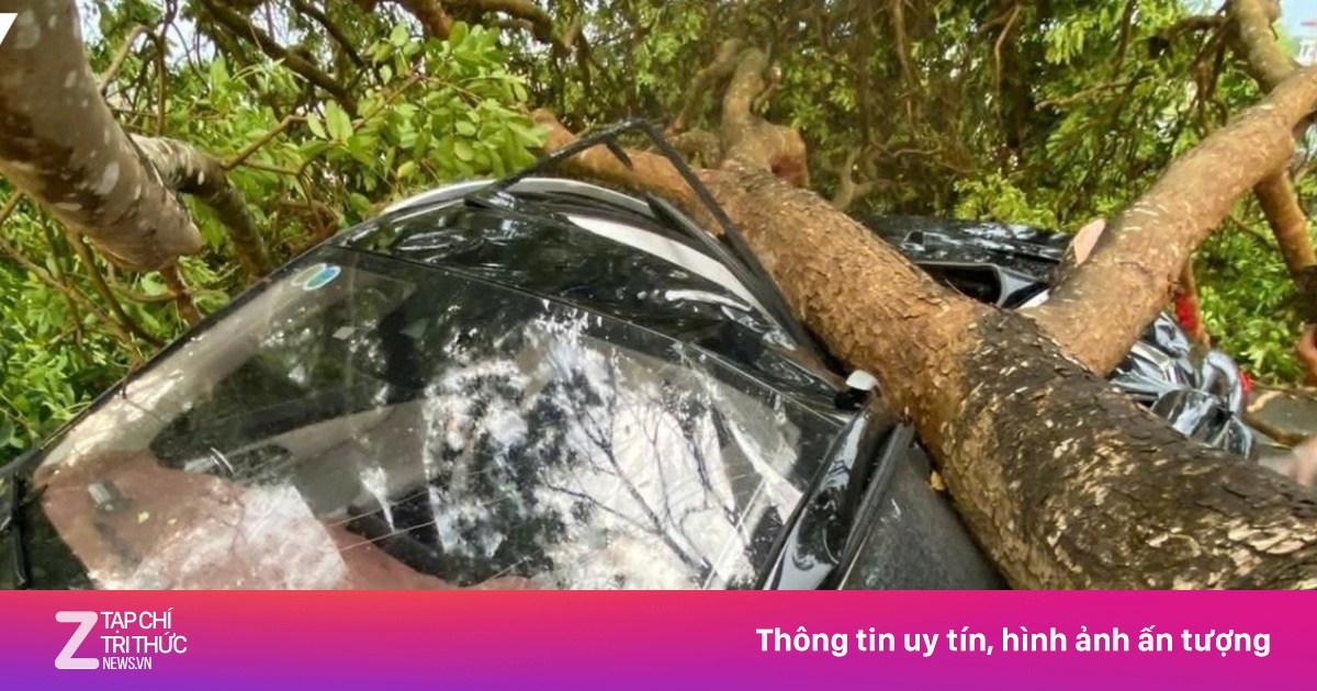 Dông lốc gây thiệt hại ở khu vực thị xã Nghĩa Lộ cũ, tỉnh Lào Cai