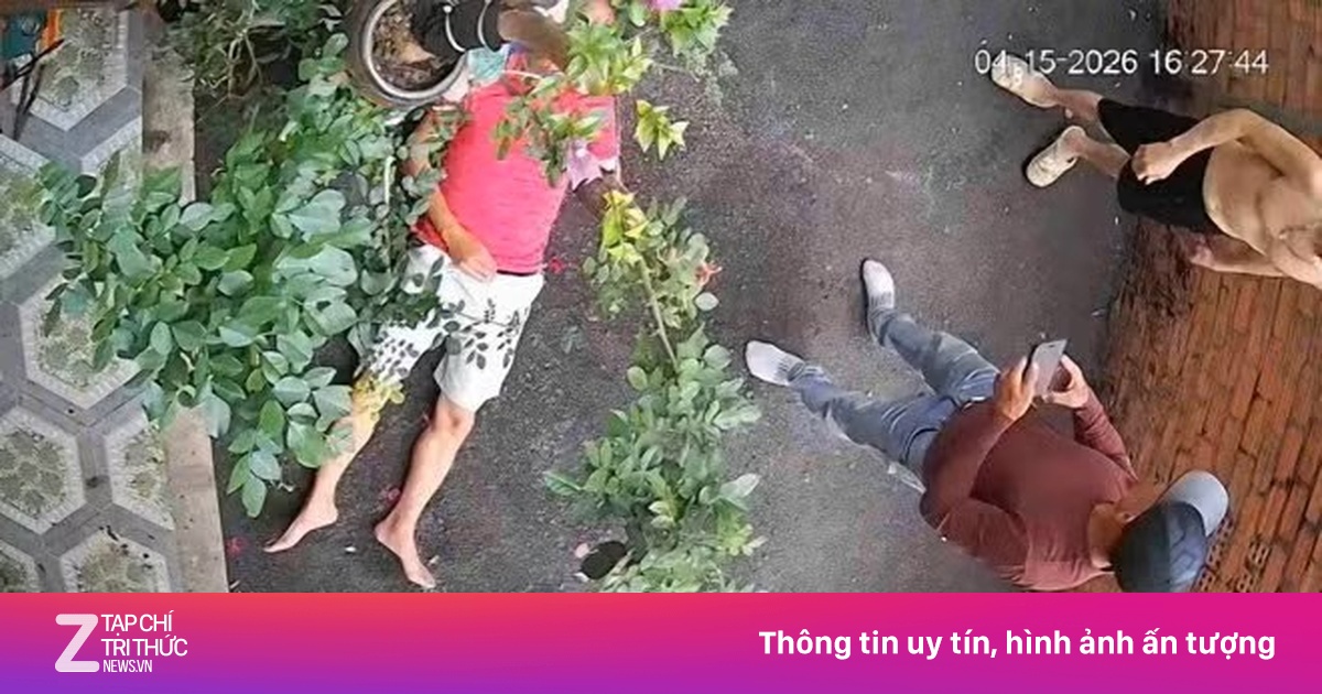 Lâm Đồng: Hàng xóm dùng gốc cây tấn công vì tranh chấp chậu cây cảnh