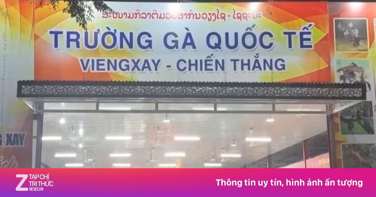 Triệt phá đường dây đá gà xuyên quốc gia, giao dịch hơn 1.200 tỷ đồng