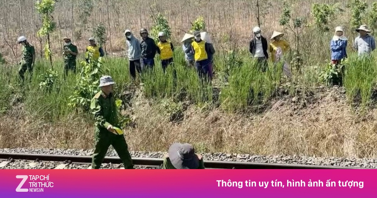 Tàu hỏa tông tử vong nhân viên tuần đường sắt