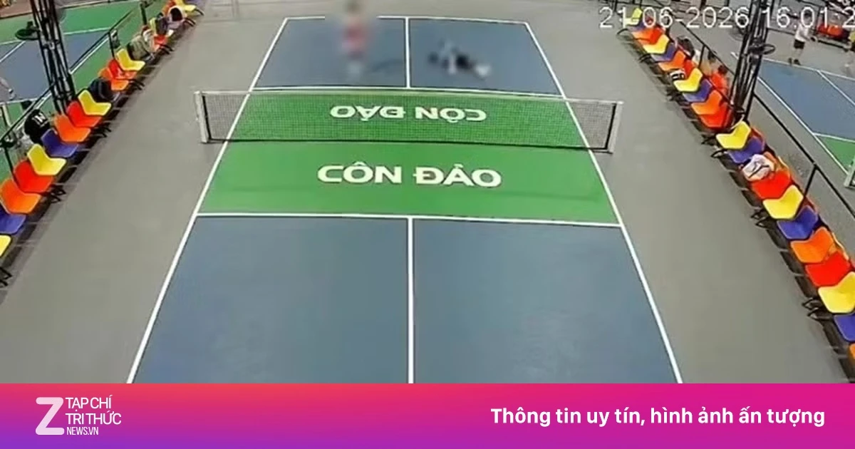 znews.vn