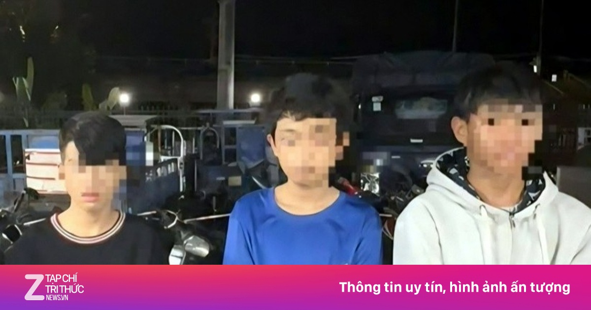 znews.vn