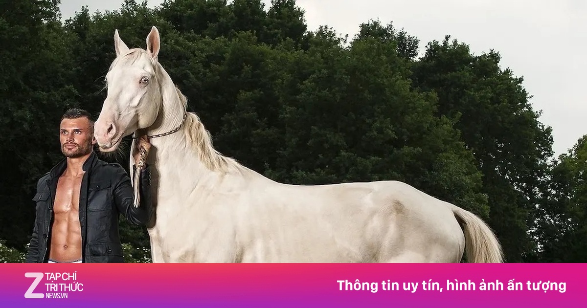 Giống ngựa 'dát vàng' quý hiếm, đẹp thoát tục như tranh vẽ