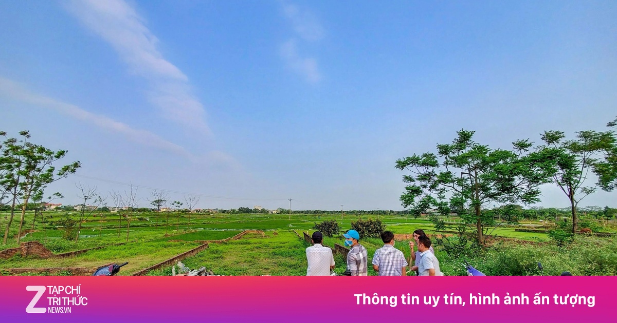 Đất nền phía Nam rục rịch 'ấm' trở lại