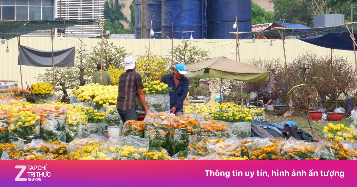 Cảnh trái ngược ở chợ hoa Tết 'nhà giàu' và bình dân ở TP.HCM