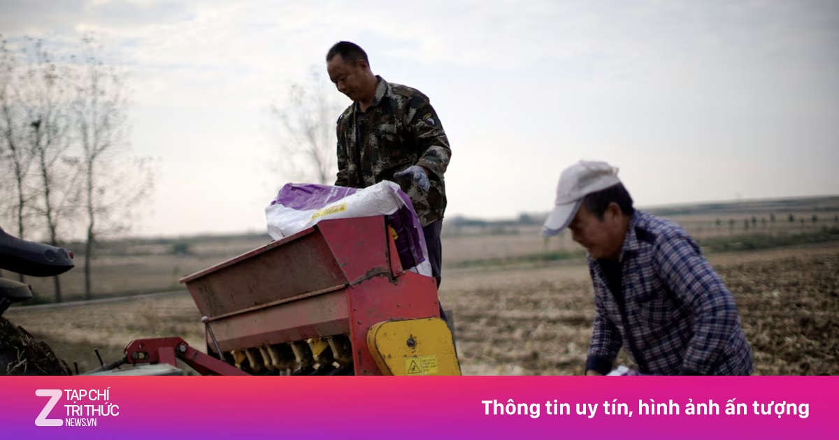 Giá phân bón tăng 'phi mã', nông dân Mỹ, châu Âu lao đao