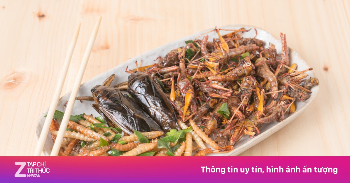 zingnews.vn