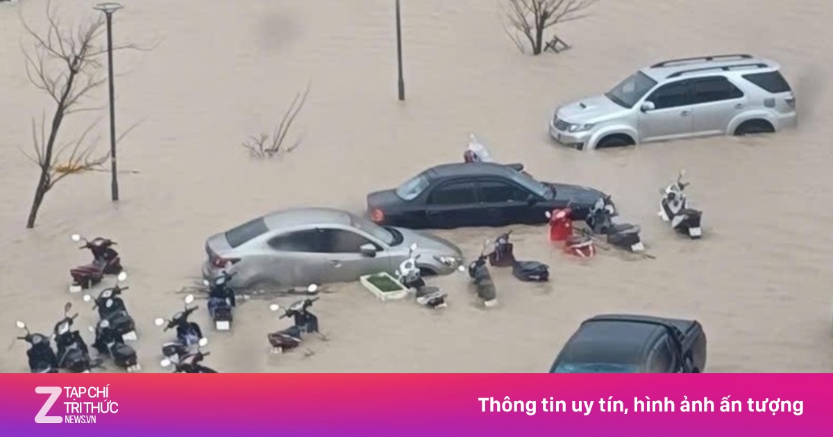 Chung cư Quy Nhơn mất điện nửa tháng, 1.000 dân khốn khổ