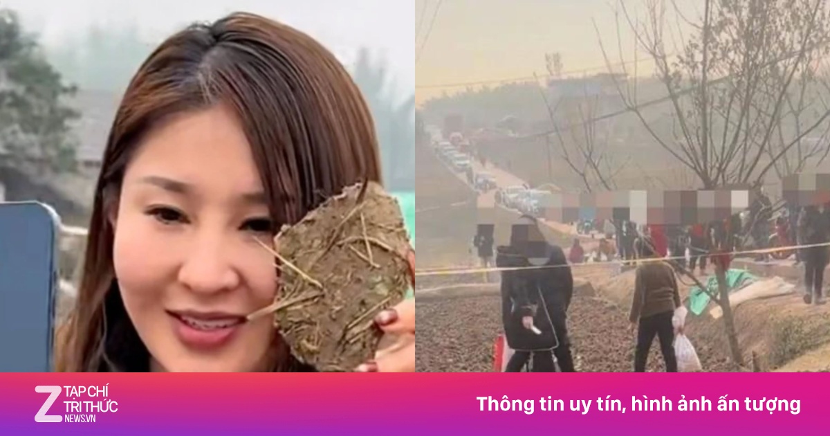 Tai họa sau cơn sốt nhờ dân mạng đến nhà mổ lợn Tết ở Trung Quốc