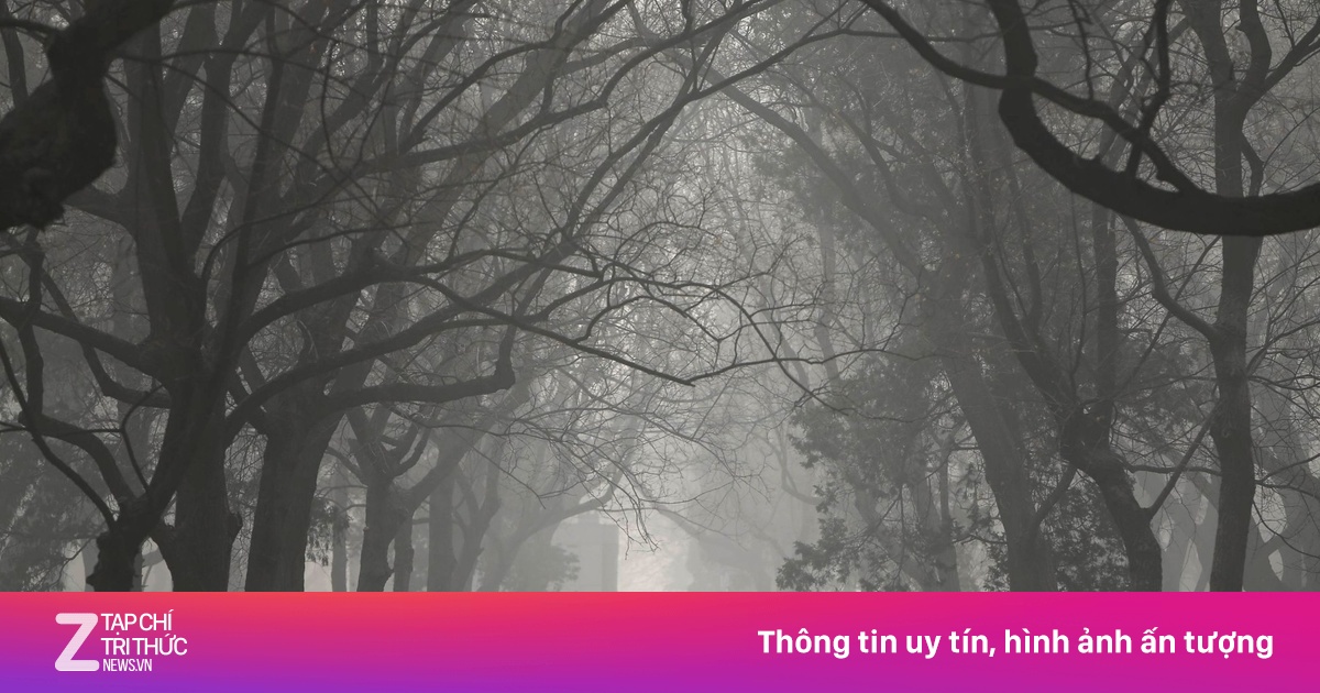 125 Triệu Người 'Vô Hình' Ở Trung Quốc: Cuộc Sống Đơn Thân Giữa Xã Hội Hiện Đại