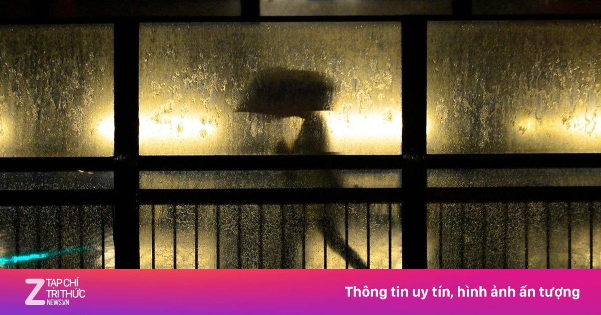 Bí ẩn 80.000 người 'bốc hơi' mỗi năm ở Nhật Bản: Áp lực và lối thoát vô hình