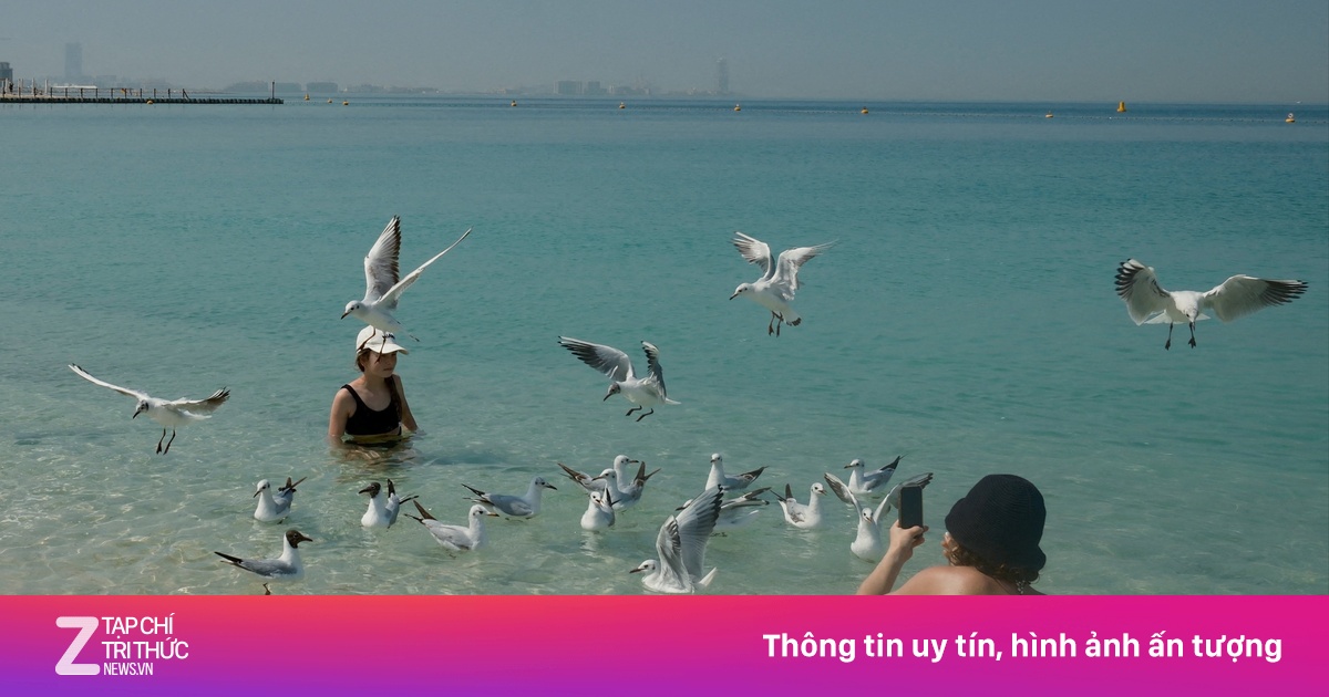 Cuộc sống thường nhật ở UAE giữa làn tên lửa: Người giàu vẫn tắm biển, đi bar