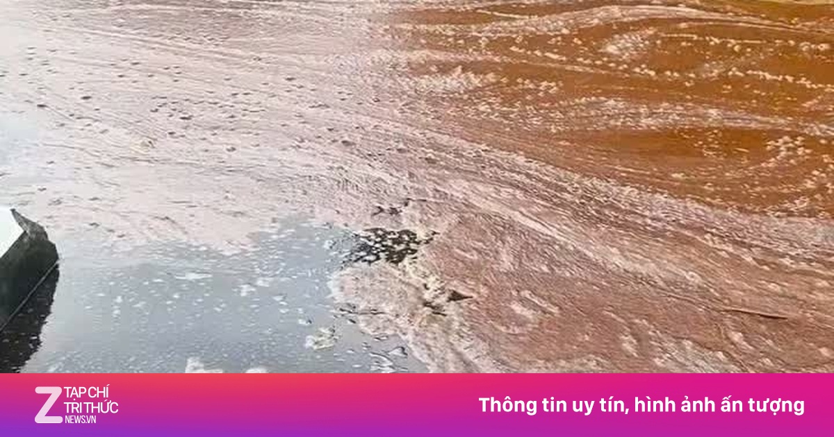 Sét đánh làm 2.000 tấn mật tràn như 'lũ': Có độc không, xử lý thế nào?