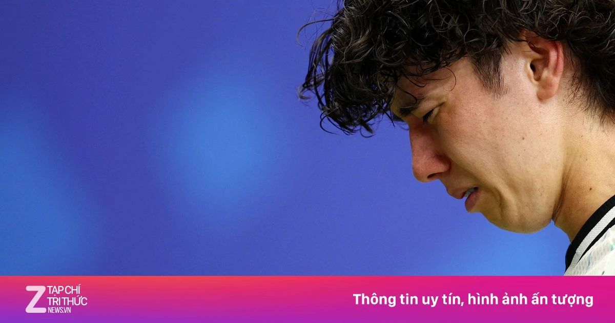 znews.vn