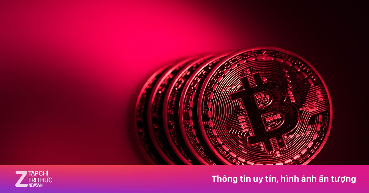 zingnews.vn