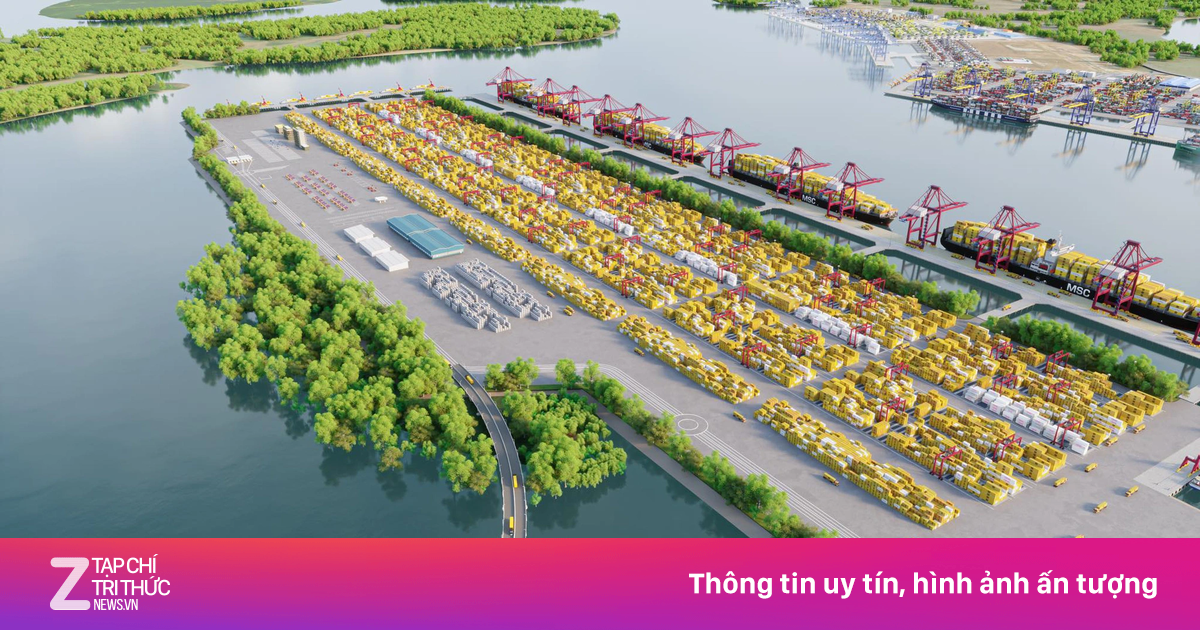 Đề xuất cơ chế đặc thù giữ chân nhà đầu tư cảng Cần Giờ