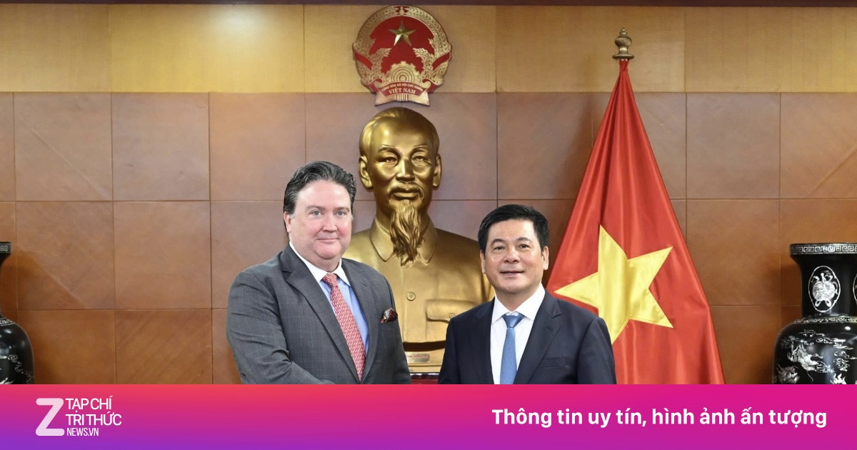 znews.vn