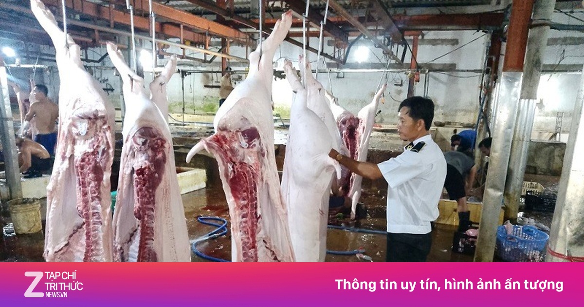 Lộ sai phạm kiểm soát tại lò mổ heo cho Công ty C.P. Việt Nam