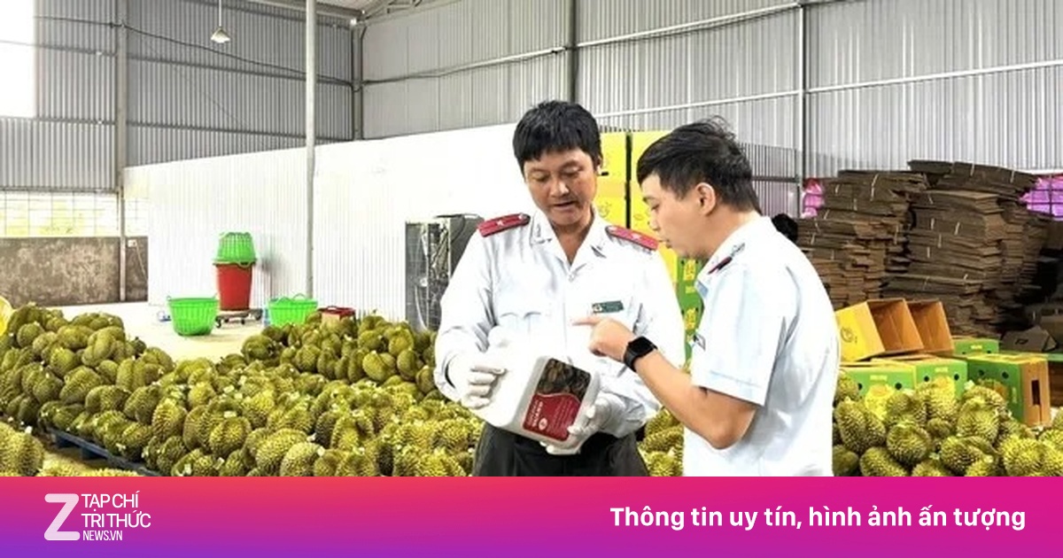 Mời chuyên gia Trung Quốc đi thực địa sầu riêng, gỡ vướng xuất khẩu