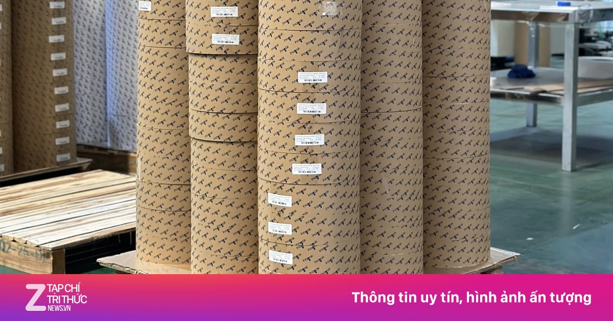 Doanh nghiệp Việt làm pallet từ xơ dừa, vỏ cà phê, tải trọng đến 2 tấn