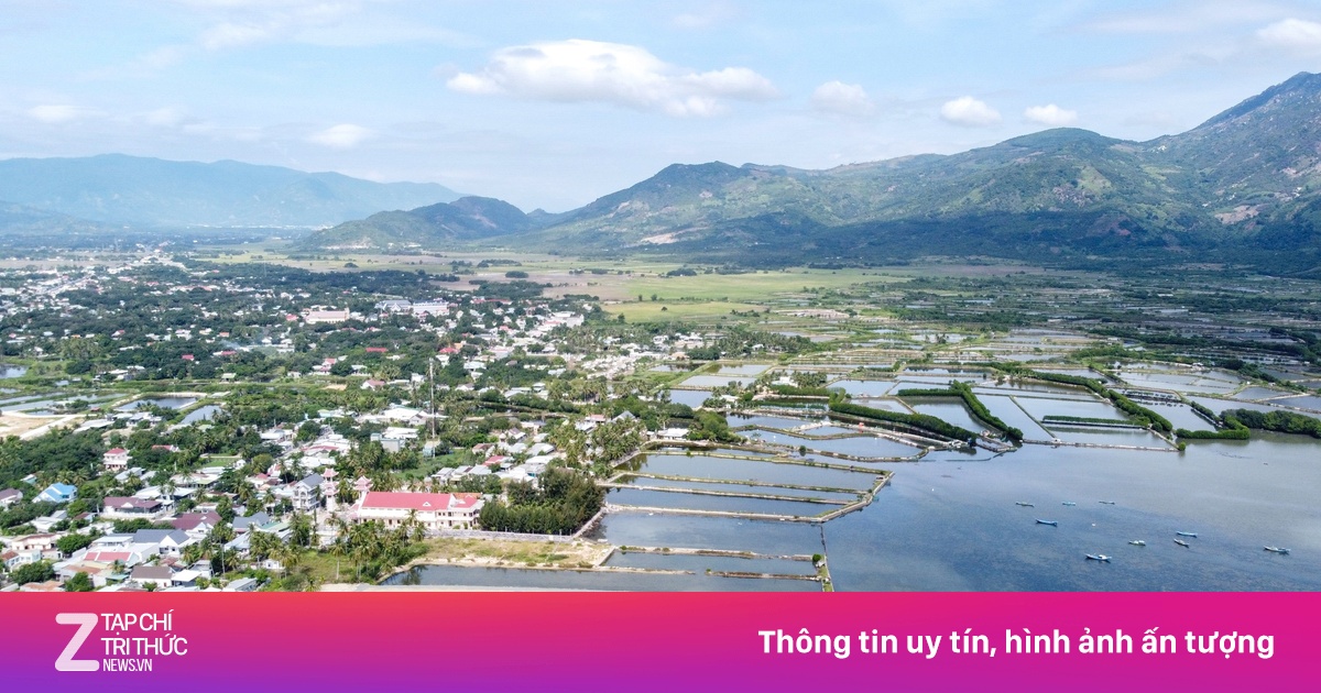 znews.vn