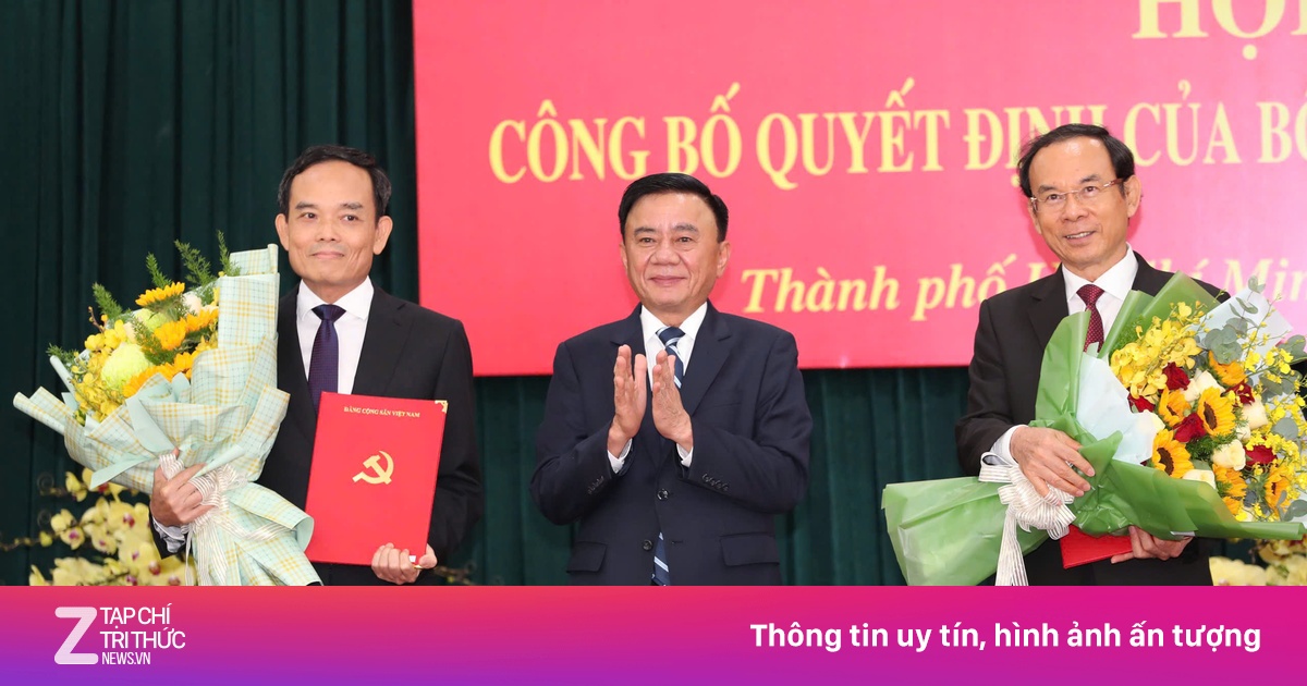 znews.vn