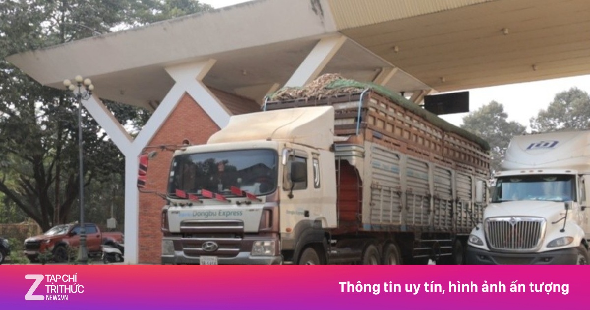 Phó thủ tướng chỉ đạo gỡ vướng thông quan nông sản tại Tây Ninh