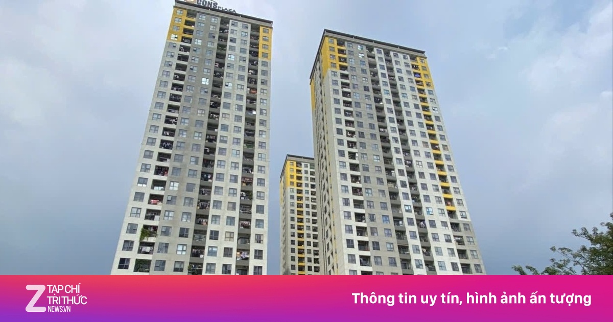 HoREA Phản Đối Khống Chế Lợi Nhuận 15% Cho Nhà Thương Mại Giá Phù Hợp