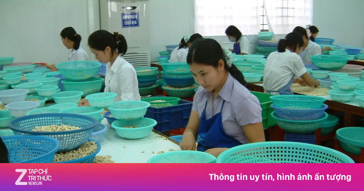 Doanh nghiệp tìm lối ra giữa 'tứ bề thọ địch'