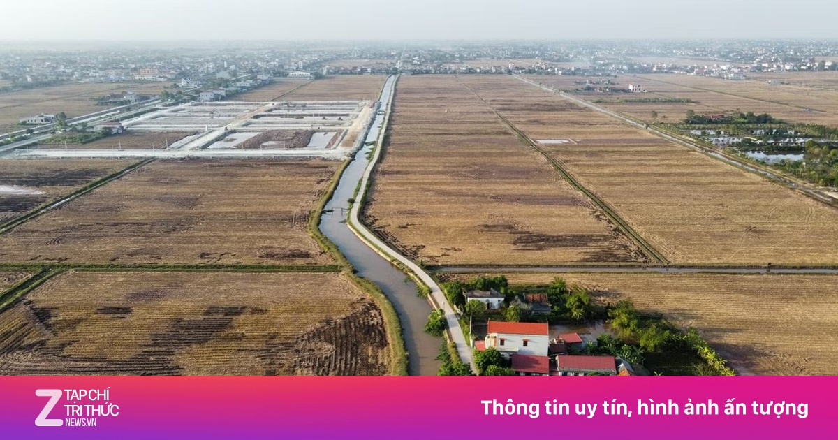 Bỏ cọc hàng loạt sau cơn sốt đấu giá đất nền tại Ninh Bình