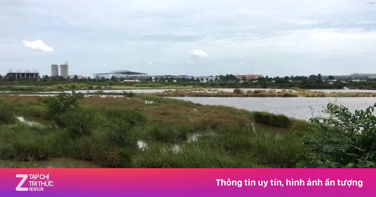 Hơn 2.000 ha đất bị loại khỏi danh sách thí điểm nhà ở thương mại tại TP.HCM