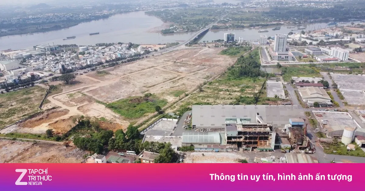 Đồng Nai chậm đấu giá đất vì góp ý 'chung chung