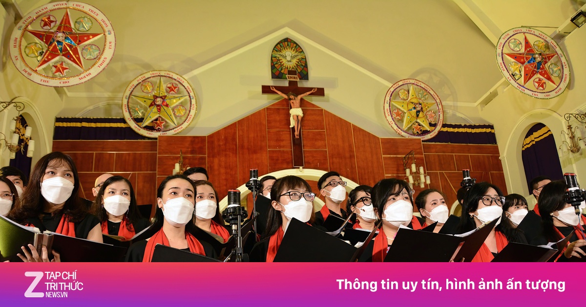 zingnews.vn