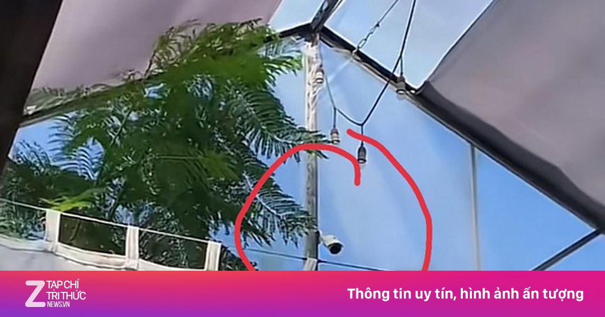 zingnews.vn