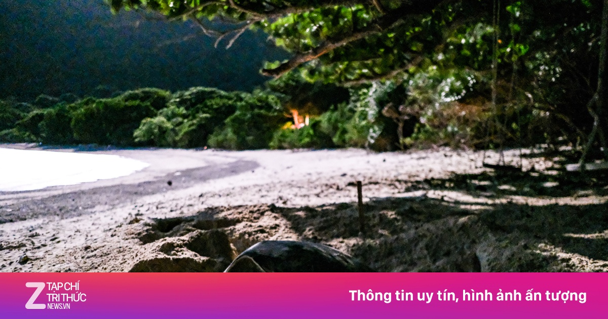 Báo ngoại tiết lộ điểm ngắm động vật hoang dã đẹp nhất Việt Nam